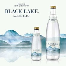 Black Lake forrásvíz 0,75l PET palackban